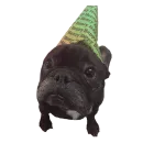 Стикер Frenchie