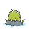 Mr Frog