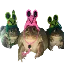 Стикер frogs