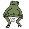 Жабы