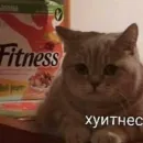 Стикер сонин протухший чай (bts)