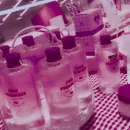 Стикер pardofelis