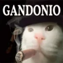 Стикер Cats memes