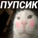 Стикер Cats memes