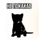 Стикер Котики и фразочки