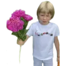 Стикер Gnomgnomich