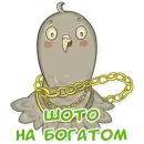 Стикер golub shmolub