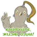 Стикер golub shmolub