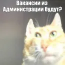 Стикер Коллекция
