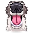 Стикер Грэй