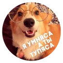 Стикер Sadness