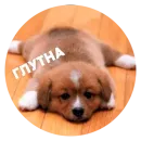 Стикер Sadness