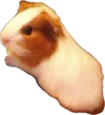 Стикер (˶ᵔ ᵕ ᵔ˶)