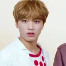 Стикер Haechan