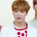 Стикер Haechan