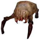 Half life