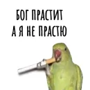 Стикер Хамим Красиво