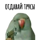 Стикер Хамим Красиво