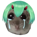 Стикер hamoonster