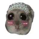 Стикер sad hamster