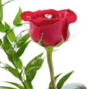 Стикер Спасибо