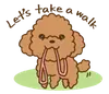 happy poodle