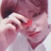 Стикер THE KPOP