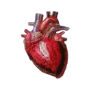 hearts