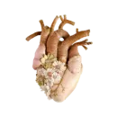 Стикер hearts