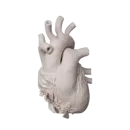 Стикер hearts