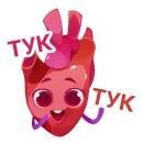 АНАТОМИЧЕСКОЕ СЕРДЦЕ