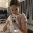 Стикер дженн блэкпинк