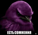 Стикер Birds Memes