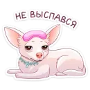 Стикер Хлоя