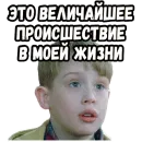 Стикер Один дома 2 (2)