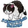 Рабочие котики