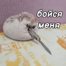 Стикер ХРЕН