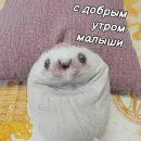 Стикер ХРЕН