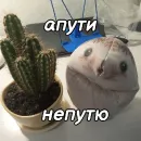 Стикер ХРЕН