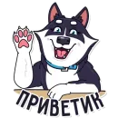 Стикер Nirvana