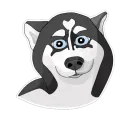 Стикер Хаскеныш Сима