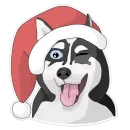 Стикер Хаскеныш Сима