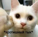 Стикер я люблю тебя!!
