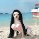 Стикер Dogs memes