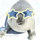 Стикер Seals