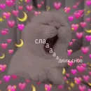 Стикер Спокойной ночи