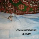 Стикер Спокойной ночи
