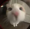 Стикер бум бум