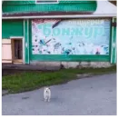 Стикер I found some memes