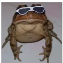 Стикер I found some memes